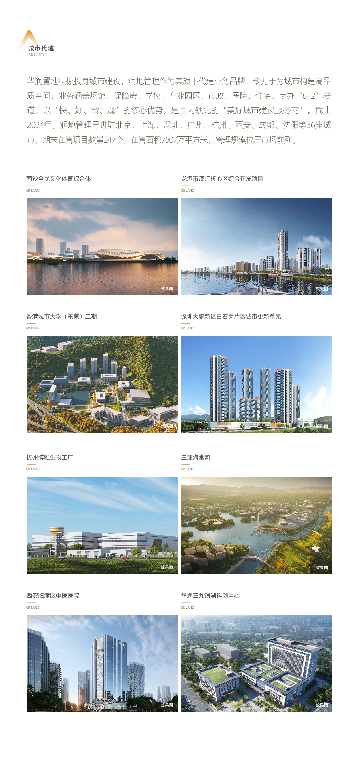 08-生态圈要素型业务03-城市代建